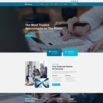 Homepage of a professional accounting firm featuring a team collaborating over financial documents, highlighting services like tax savings and financial planning. The design emphasizes trust and partnership for business success.
